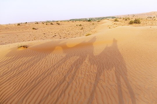 صورة الجولة 8