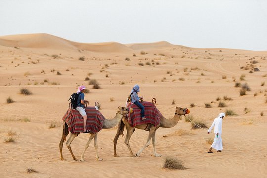 صورة الجولة 2