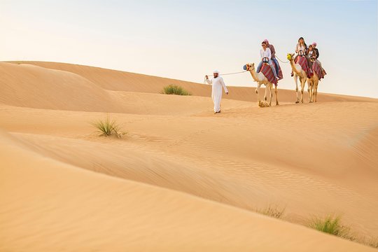 صورة الجولة 7