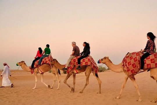 صورة الجولة 2