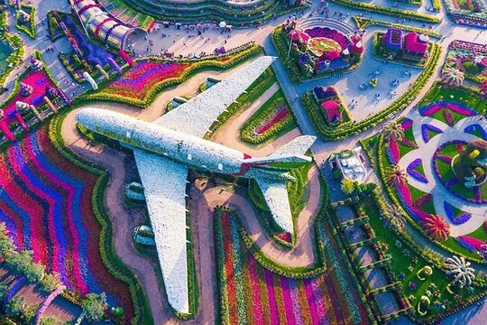صورة الجولة 6