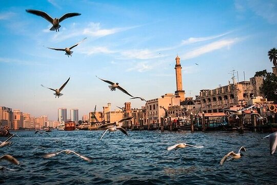 صورة الجولة 4