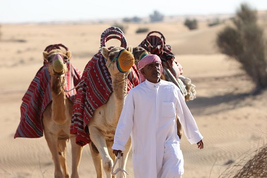 صورة الجولة 6